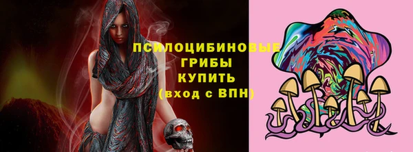 шишки Алексин
