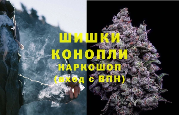 шишки Алексин