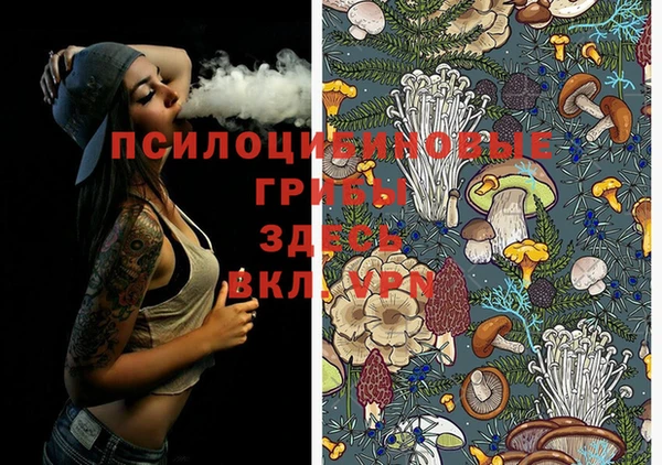 шишки Алексин
