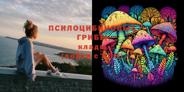 шишки Алексин