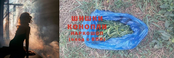 шишки Алексин