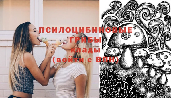 2c-b Алзамай
