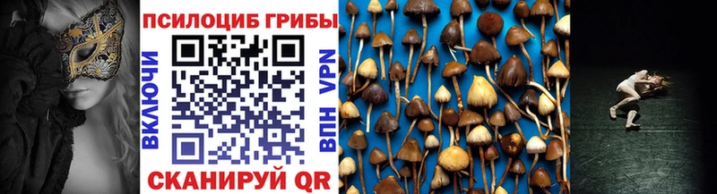 Псилоцибиновые грибы мухоморы  это клад  Кудрово  хочу   omg как зайти 
